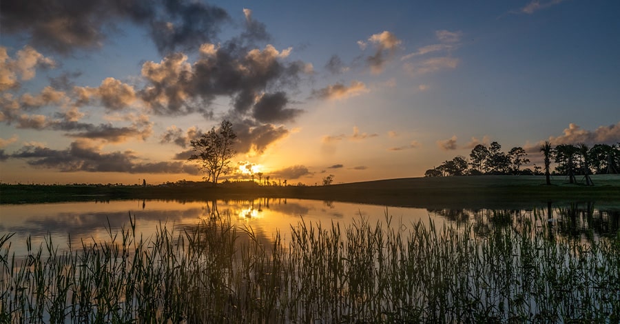 Port St Lucie Nature
