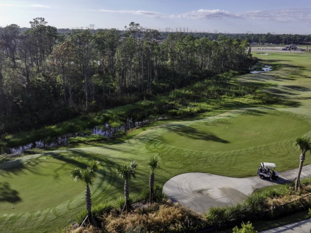 aerial of golf course with trees and community surrounding