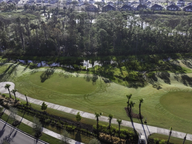 trees and golf course around glynlea