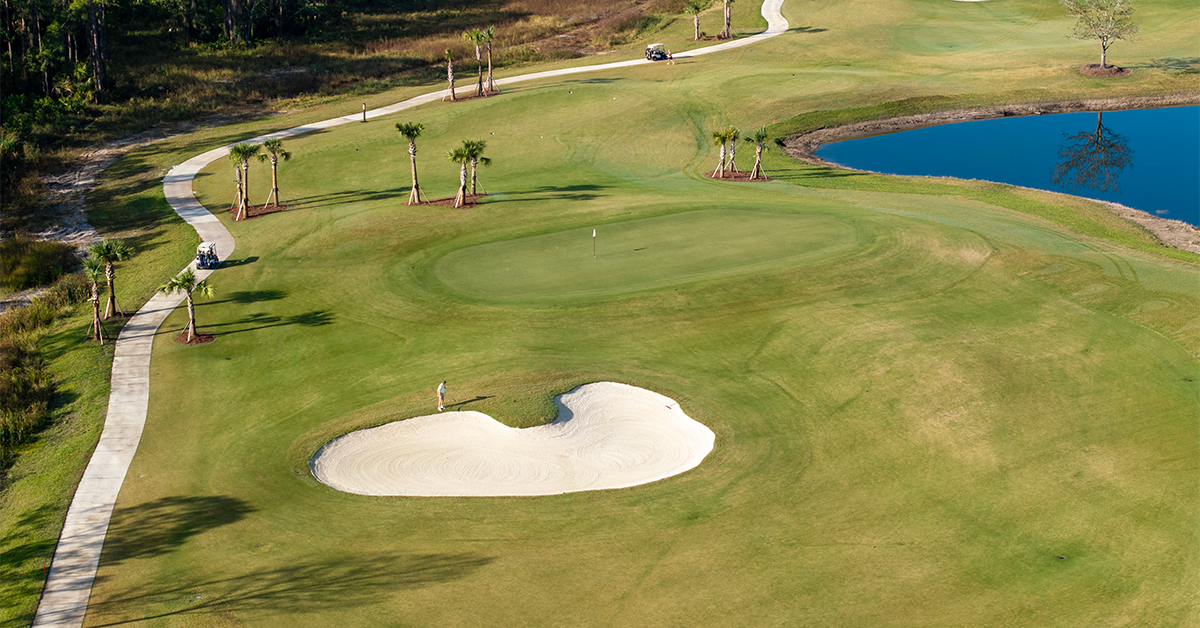 Golf green with sand bunker, palm trees, and water hazard