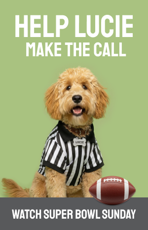 Glynlea Models Open Daily