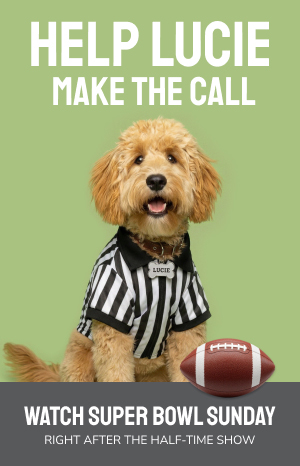 Glynlea Models Open Daily